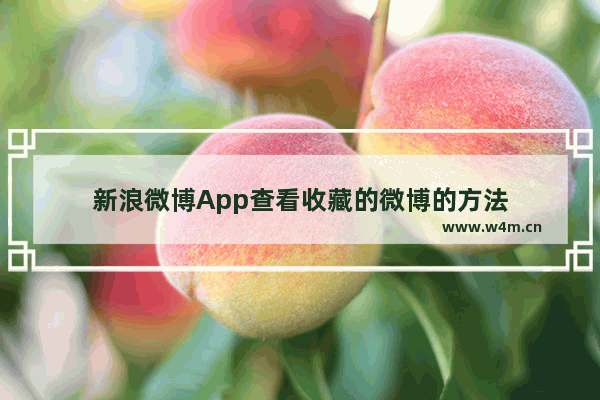 新浪微博App查看收藏的微博的方法