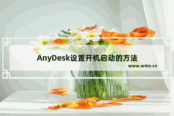 AnyDesk设置开机启动的方法