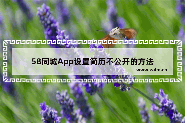 58同城App设置简历不公开的方法