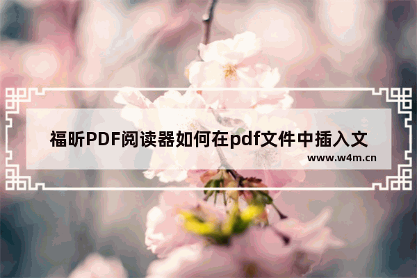 福昕PDF阅读器如何在pdf文件中插入文字？