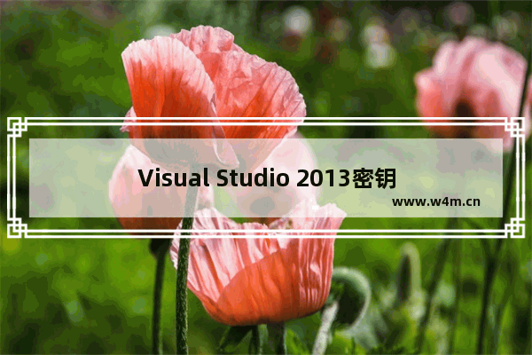 Visual Studio 2013密钥下载_VS 2013各版本产品密钥