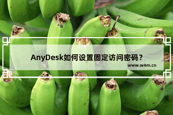 AnyDesk如何设置固定访问密码？