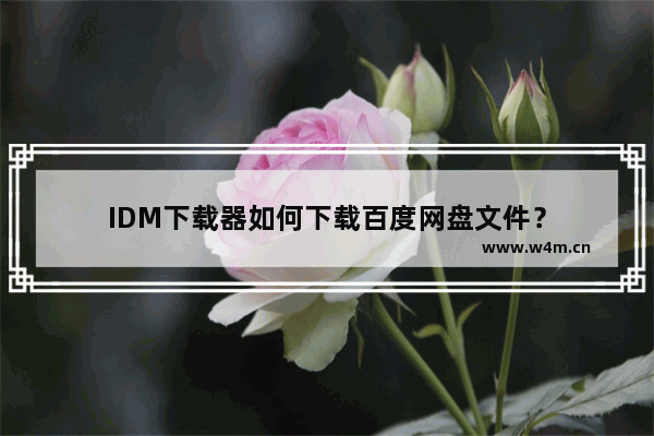 IDM下载器如何下载百度网盘文件？