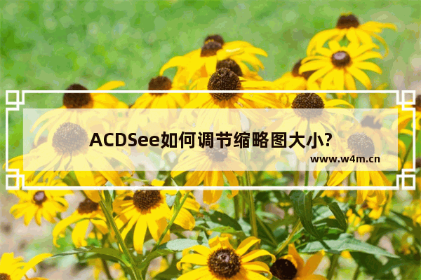 ACDSee如何调节缩略图大小?