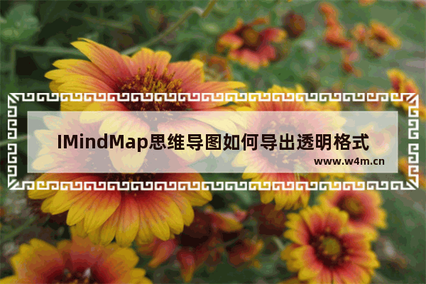 IMindMap思维导图如何导出透明格式图片？