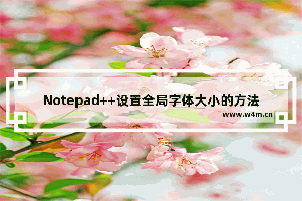 Notepad++设置全局字体大小的方法