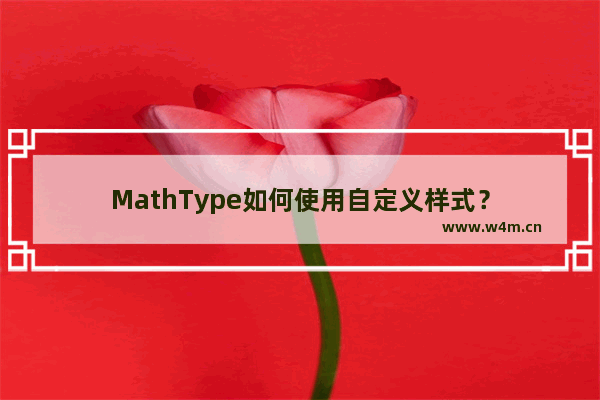 MathType如何使用自定义样式？