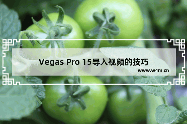 Vegas Pro 15导入视频的技巧