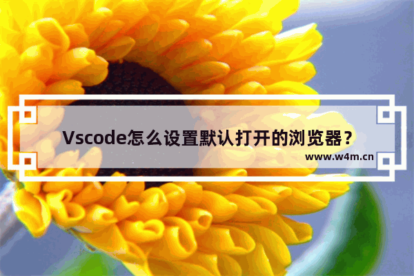 Vscode怎么设置默认打开的浏览器？