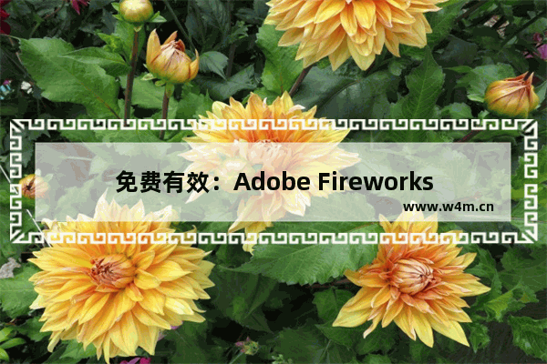 免费有效：Adobe Fireworks CS4序列号下载