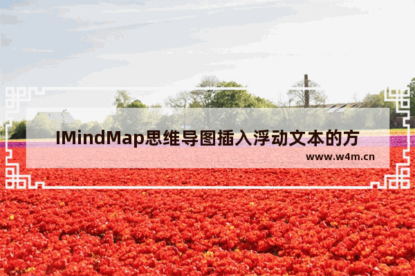 IMindMap思维导图插入浮动文本的方法