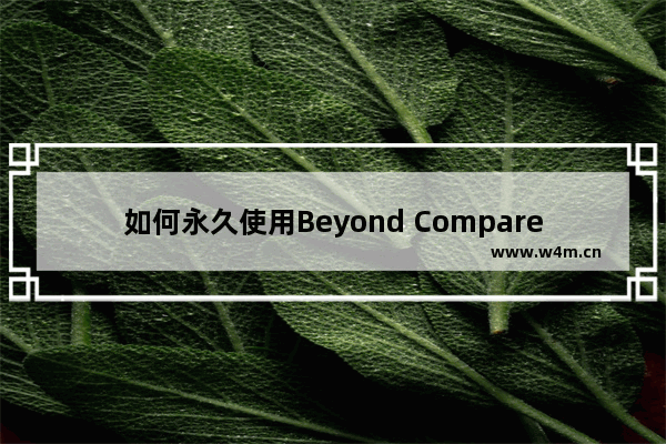 如何永久使用Beyond Compare？ 附注册码/密钥