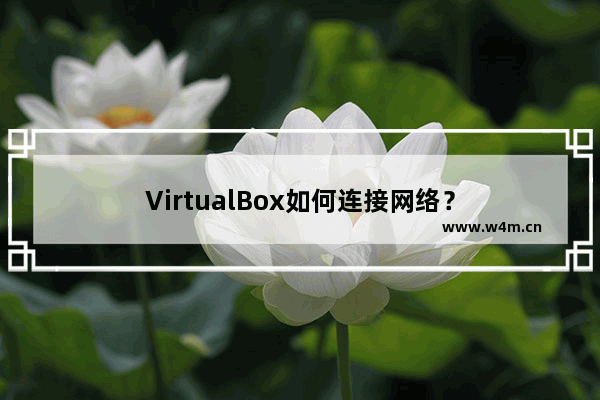 VirtualBox如何连接网络？