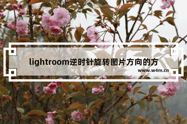 lightroom逆时针旋转图片方向的方法