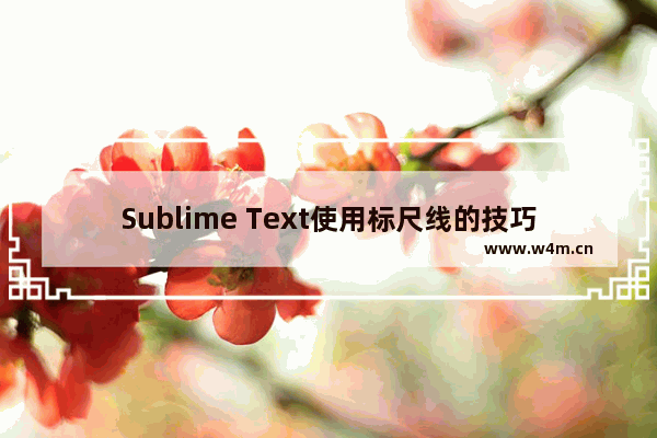 Sublime Text使用标尺线的技巧