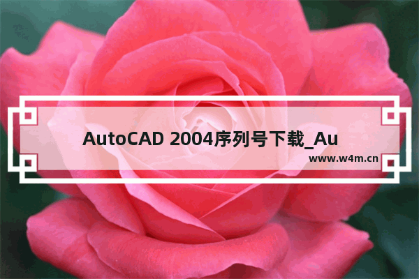 AutoCAD 2004序列号下载_AutoCAD 2004破解教程