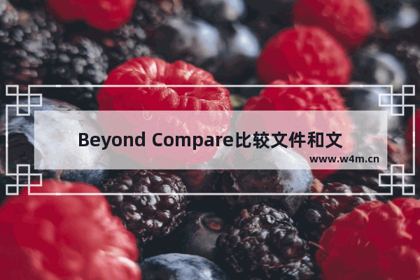 Beyond Compare比较文件和文件夹的方法