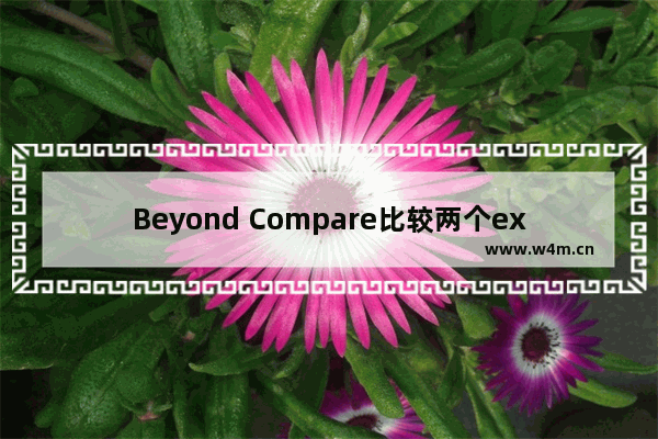 Beyond Compare比较两个exe文件的方法