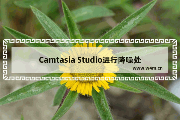 Camtasia Studio进行降噪处理的方法