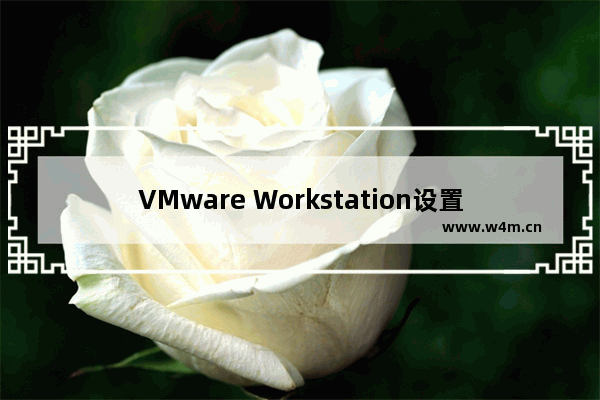 VMware Workstation设置自动保护的方法