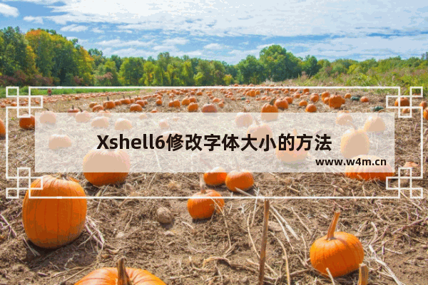 Xshell6修改字体大小的方法