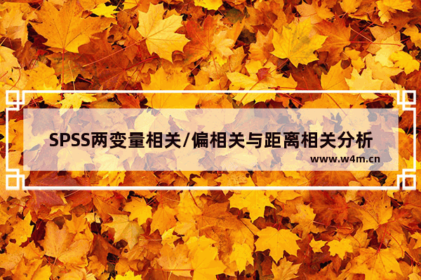 SPSS两变量相关/偏相关与距离相关分析的区别