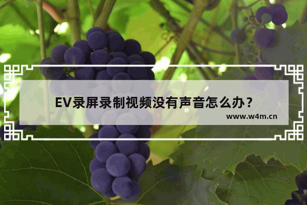 EV录屏录制视频没有声音怎么办？