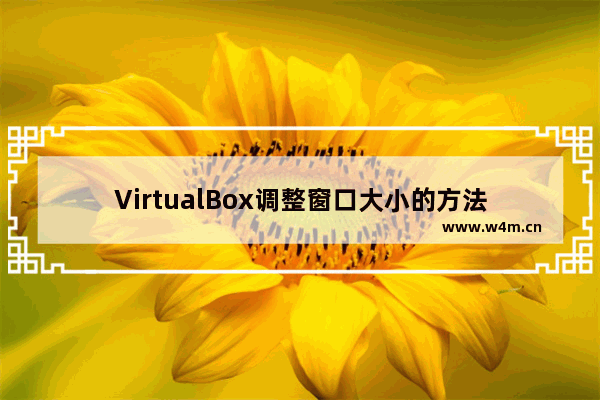 VirtualBox调整窗口大小的方法