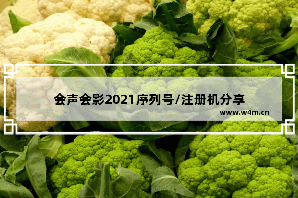 会声会影2021序列号/注册机分享