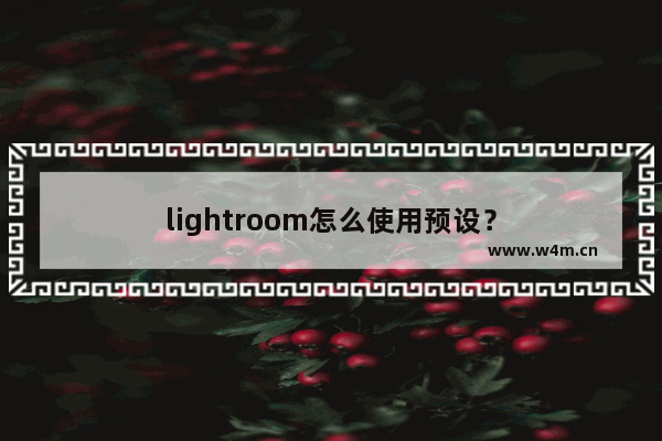 lightroom怎么使用预设？