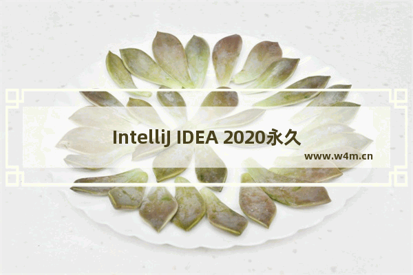 IntelliJ IDEA 2020永久激活码下载 免费有效