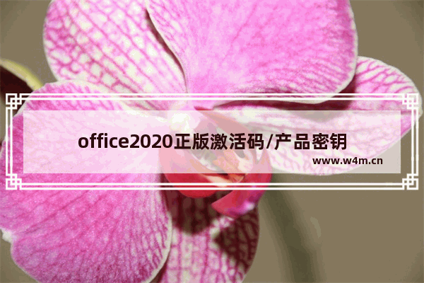 office2020正版激活码/产品密钥分享