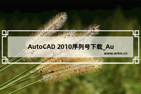 AutoCAD 2010序列号下载_AutoCAD 2010最新激活码