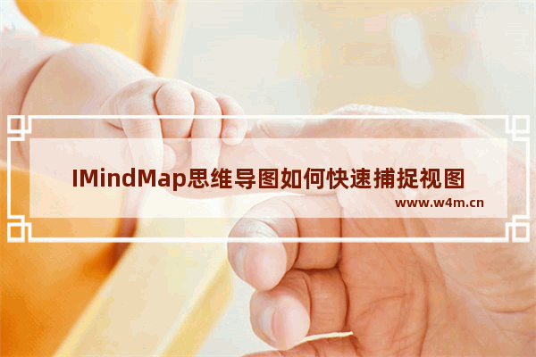 IMindMap思维导图如何快速捕捉视图？