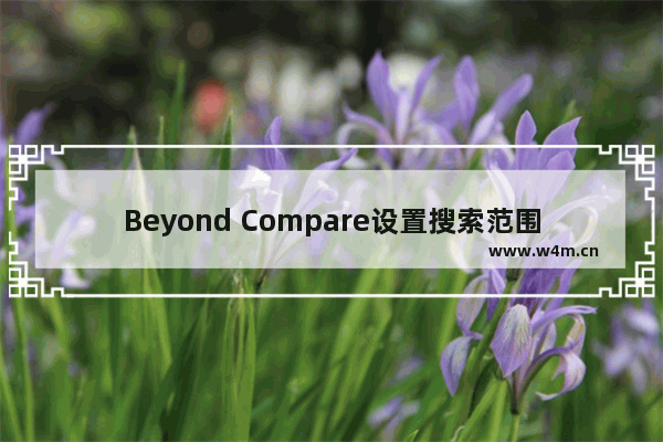 Beyond Compare设置搜索范围的方法