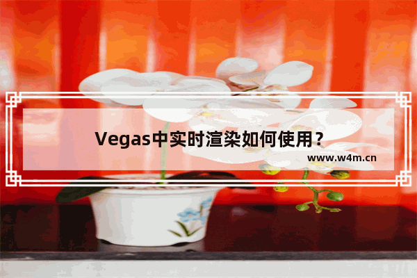 Vegas中实时渲染如何使用？