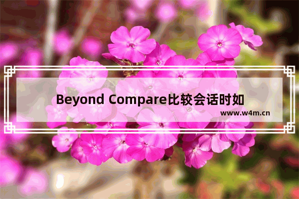 Beyond Compare比较会话时如何查看字节地址？