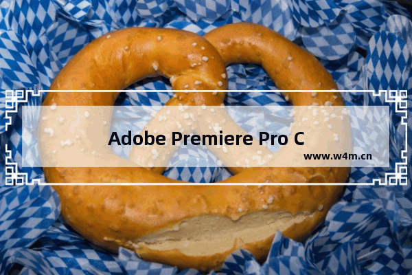 Adobe Premiere Pro CC调整画布大小的方法