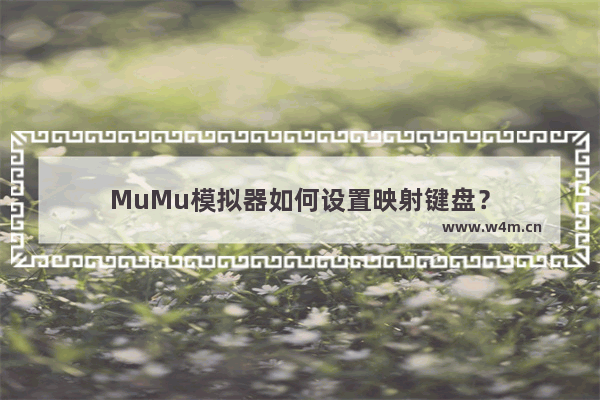 MuMu模拟器如何设置映射键盘？