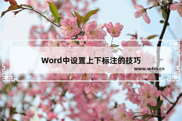 Word中设置上下标注的技巧