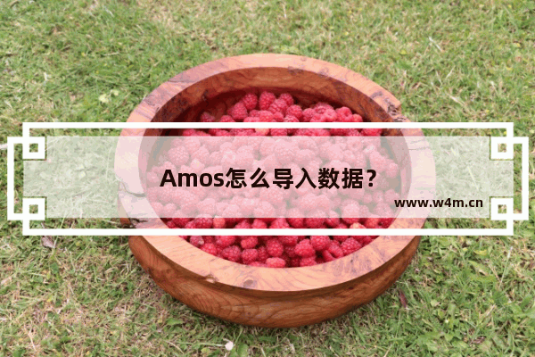 Amos怎么导入数据？