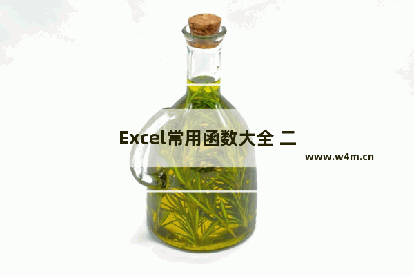 Excel常用函数大全 二