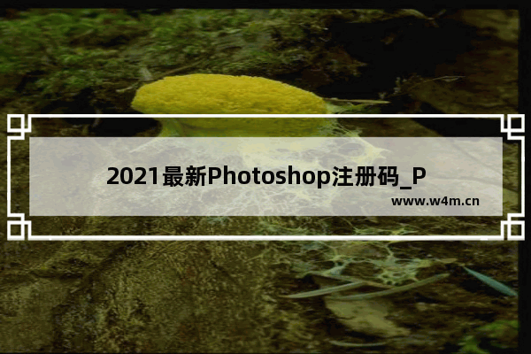 2021最新Photoshop注册码_Photoshop各版本激活码/序列号