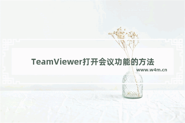 TeamViewer打开会议功能的方法