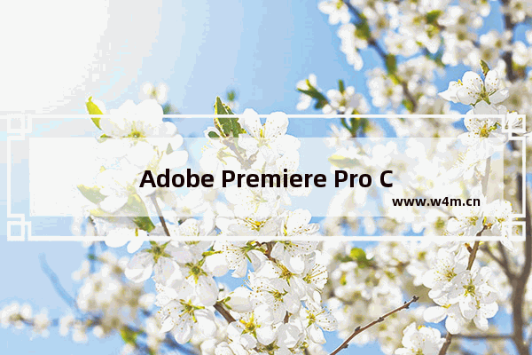 Adobe Premiere Pro CS6怎么加水印？