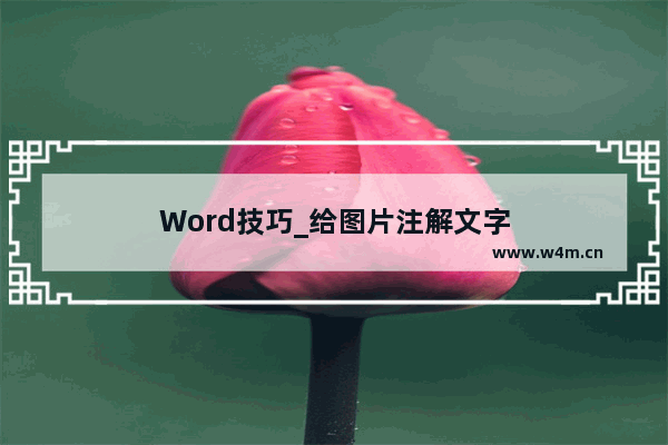 Word技巧_给图片注解文字