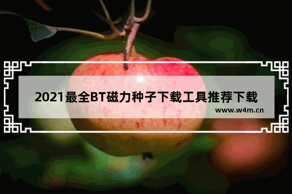 2021最全BT磁力种子下载工具推荐下载