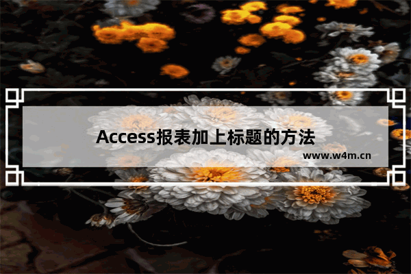 Access报表加上标题的方法