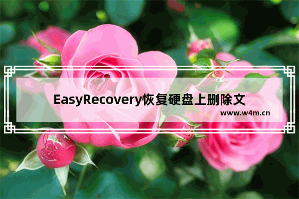 EasyRecovery恢复硬盘上删除文件的技巧