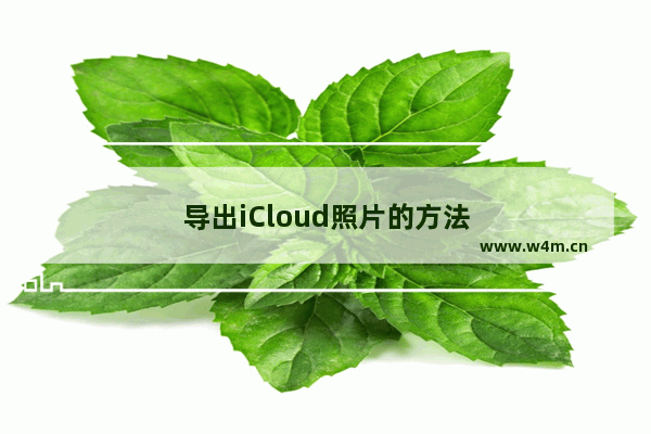 导出iCloud照片的方法